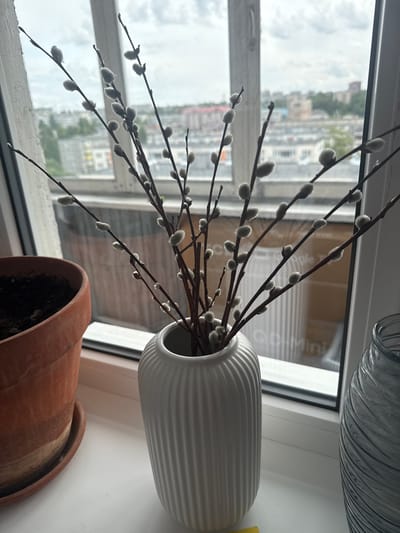 A close-up, eye-level shot shows a white ceramic vase filled with pussy willow branches on a windowsill. The vase has a fluted texture. To the left of the vase is a terracotta pot with soil, partially visible. To the right, a textured glass vase is partially in frame. Through the window behind the vases, a cityscape of Kondopoga, Russia, is visible under a cloudy sky. The buildings are predominantly multi-story residential structures. The overall scene suggests an indoor domestic setting with a view of the urban environment.