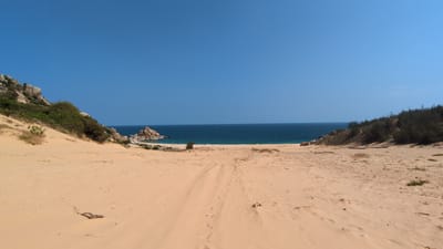 The image depicts a sandy landscape in Phuoc Dinh, Vietnam. The scene leads to a beach with the ocean in the background under a clear blue sky. On the left, a sandy hill covered with green vegetation and rocks can be seen. The right side also has a hill with similar vegetation. A small rocky formation is visible in the ocean. There are tracks in the sand suggesting recent passage. A small piece of driftwood rests in the lower left foreground.