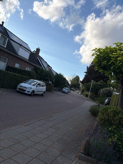 This media file shows a residential street scene in Eibergen, Netherlands. The perspective is from ground level, looking up and to the right. The foreground features a paved street with reddish-brown interlocking bricks and a darker gray paved sidewalk. To the right of the sidewalk, there are manicured bushes, including a section of lavender in bloom.
In the middle ground, a white car is parked on the street, facing away from the viewer. The car has a yellow license plate with white lettering that reads "JS SGH S". Further down the street, another silver car is visible. Houses line the left side of the street. One house has a dark tiled roof with several solar panels installed and a brick chimney. Another house features a tall, dark green hedge.
The background shows more houses, trees, and vegetation. A tall lamppost is visible on the right side of the street. The sky is a bright blue with scattered white clouds, suggesting it is daytime, likely late afternoon or early evening given the angle of the light. The overall impression is a quiet, well-maintained suburban neighborhood on a pleasant day. The image is oriented sideways.