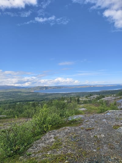 This is a landscape photograph taken from a rocky, elevated viewpoint overlooking a vast body of water and surrounding terrain. The foreground consists of rough, grey-toned rocks covered with patches of green moss and lichen, with low-lying green shrubs and small trees.
In the middle ground, a dense forest of various shades of green trees stretches towards the water. The forest appears to be a mix of deciduous and coniferous trees, with some areas showing lighter green, possibly indicating younger growth or different species.
The background features a large, calm body of water that appears to be a fjord or a large lake. The water is a deep blue, reflecting the sky. In the distance, rolling hills and mountains form the horizon, some of which are covered in greenery, while others appear more barren and rocky. The sky is a vibrant blue with scattered white, fluffy clouds, suggesting fair weather.
The image depicts a natural, undeveloped environment. There are no visible people or man-made structures that are immediately apparent, except for a very distant cluster of what might be buildings or boats on the far shore of the water. The overall impression is one of a serene and expansive natural landscape. The scene is consistent with a location in or near Nyby, Norway, known for its fjords and mountainous terrain.