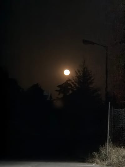 The image captures a night scene in Vedrare, Bulgaria, dominated by darkness and the glow of a full moon. The moon is a bright, luminous orb positioned in the upper center of the frame, partially obscured by the silhouette of a coniferous tree. To the right of the moon, a street lamp with a dark, elongated fixture stands tall, its light casting a faint illumination on the surroundings. The foreground is a dark, indistinct area, possibly a road or path, leading into the darkness. On the right side of the image, a fence made of wire mesh is visible, bordering an area with dry, overgrown grass. The overall atmosphere is moody and nocturnal, with limited visibility due to the low light conditions and potential fog or mist.
