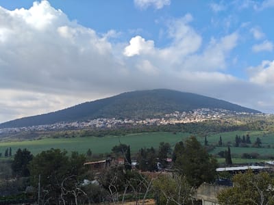A wide shot depicts a verdant landscape with a large, rounded mountain dominating the horizon, its peak obscured by clouds. A town nestles along the lower slopes, its buildings visible against the green backdrop. The foreground features trees and glimpses of buildings, adding depth to the scene. The sky is a mix of blue and clouds, suggesting a partly cloudy day.