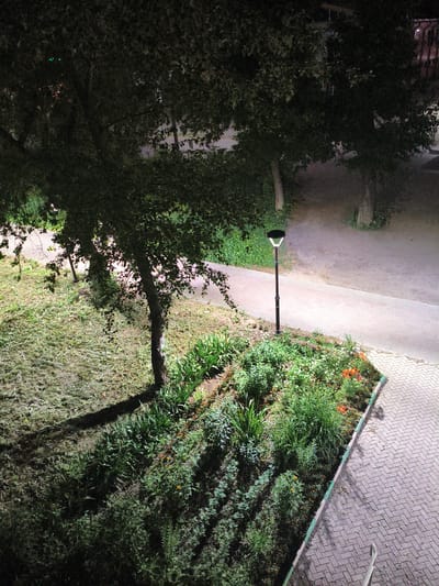 The image is a nighttime aerial view of a park area in Rubtsovsk, Russia. In the foreground, a raised garden bed is densely planted with various green foliage and small orange flowers. To the left of the garden bed is a mown grassy area with scattered clippings, casting a long shadow from a nearby tree. A paved pathway runs alongside the garden bed, and a modern black street lamp with a distinctive geometric light fixture stands on the pathway. Further back, two mature trees with dense canopies are visible, one on the left and another in the middle-right of the frame. The ground behind the trees is a mixture of gravel and dirt, with a faint outline of a building visible in the far background on the right. The lighting suggests artificial illumination from the street lamp and possibly distant sources.