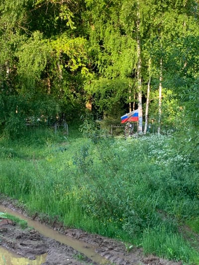 This image depicts a roadside view in the city of Svyatitsa, Russia. A muddy rut runs diagonally across the bottom left of the frame, indicating a dirt road or track. The surrounding environment is overgrown with tall, lush green grass and various wildflowers, creating a wild and natural setting. In the middle ground, a small cluster of birch trees stands amidst the vegetation. A Russian flag is prominently displayed on a pole, its red, white, and blue colors contrasting with the greenery. Behind the flag, faint outlines of what appear to be gravestones or markers suggest a cemetery or memorial site. The overall impression is one of a rural or semi-rural area, likely a cemetery on the outskirts of Svyatitsa, Russia, given its natural and somewhat unkempt appearance.