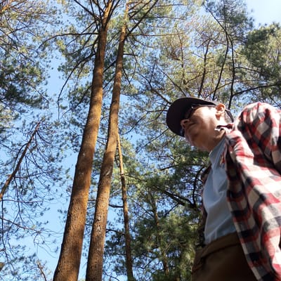 The image shows a low-angle, medium shot of a person in a forest. The person is wearing a red and black plaid shirt, a light blue shirt underneath, a brown hat, and brown pants. They are looking upwards and to the right. The background consists of tall pine trees and a clear blue sky. The lighting suggests it is daytime. The image appears to be taken in a natural environment, possibly a park or a forest reserve. There is no indication of the specific location within the city of Gundaling 2, Indonesia.