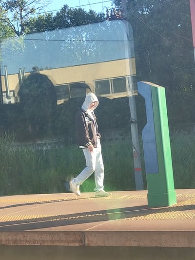 A person wearing a hooded jacket and light-colored pants is walking on a platform next to some tall grass. There is a green and blue structure on the right side of the image. The scene appears to be outdoors, possibly near a transportation hub, with a reflection of trees and a building visible in the background. The platform has yellow tactile paving.