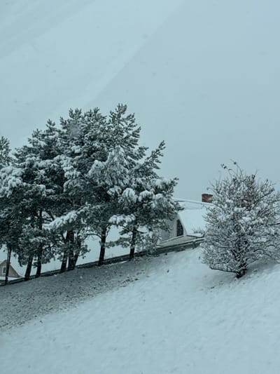 A static, elevated view captures a snow-covered winter landscape in Rdzawka, Poland, under an overcast sky. The foreground and midground are dominated by a steep, undisturbed snow-covered slope. A cluster of approximately five to six snow-laden evergreen trees stands prominently on an elevated bank towards the left. Behind these trees, a dark, cleared strip, likely a road or path, runs horizontally, partially obscured by a dark barrier or guardrail. Further back and to the right, a residential building with a steep, snow-covered gabled roof is visible. A reddish-brown chimney protrudes from the roof's peak, and a single, dark, triangular window is present on the visible side facade. A bare, deciduous tree or large bush, also heavily coated in snow, stands to the right of the house. A sliver of another building is faintly visible in the far left background. No individuals or active movements are observed.
