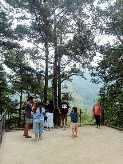 The image depicts an elevated outdoor viewing platform situated within a mountainous, forested environment, consistent with a location in Kajar, Indonesia. The platform features light-colored, unpaved ground and is bordered by a dark metal railing. Several tall, mature pine trees are prominently visible, rising from the platform area and dominating the upper portion of the frame.

Seven individuals are present on the platform. On the left, a young adult male in a dark shirt and shorts stands facing a female in a light blue striped shirt and light pants, whose back is to the viewer. Behind them, partially obscured, are two additional females, one wearing a light blue hijab and another dressed in black and white. To the right, a young adult male in a black "NYK" t-shirt and brown shorts stands facing forward. Adjacent to him, a child with brown pigtails, wearing a denim jacket and light brown shorts, stands with her back to the viewer, appearing to look through or at an object held to her eye. Further to the right, a female wearing a light brown hijab and a rust-colored top stands observing the scene.

The background consists of densely forested mountain slopes receding into a hazy distance, indicative of a deep valley or extensive mountainous terrain. The sky appears overcast, providing diffuse lighting for the scene.