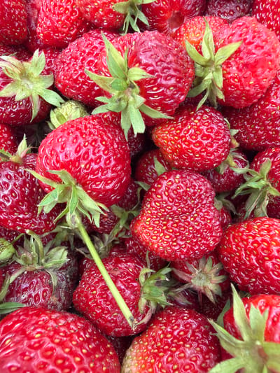 This close-up, top-down image depicts a dense collection of freshly harvested, ripe red strawberries. The fruit uniformly fills the frame, showcasing a vibrant crimson color with visible yellow achenes embedded across their textured surfaces. Numerous strawberries retain their intact green calyxes and short, green stems. Some strawberries exhibit minor darker red to brownish discoloration or surface imperfections. The arrangement suggests a pile or container of recently gathered produce. This scene is located in the city of Tserovo, Bulgaria.