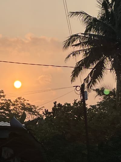This image depicts a sunset scene in Tambakreja, Indonesia, featuring a bright, orange sun positioned on the left side of the frame. A silhouette of a palm tree dominates the right portion of the image, with its fronds casting shadows against the sky. In the foreground, the dark silhouettes of rooftops and dense foliage create a stark contrast with the luminous sky. Electrical wires crisscross the scene, and a utility pole with some attached equipment is visible, further suggesting an urban or semi-urban environment. The sky is a warm, hazy orange, indicating the setting sun.