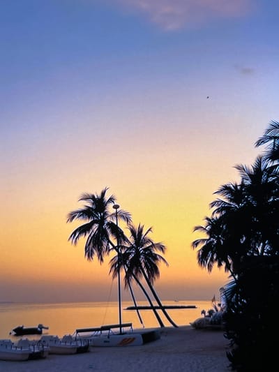 The image depicts a tranquil beach scene at sunset. Silhouetted palm trees frame the view of a calm ocean reflecting the vibrant orange and purple hues of the sky. Several small boats, some appearing to be pedal boats, are parked on the sandy shore in the foreground. A jet ski is visible in the water on the left side of the image. The overall atmosphere is serene and peaceful, characteristic of a tropical or subtropical coastal location. The specific location of Montfermeil, France, is not evident from the visual information provided in the image.