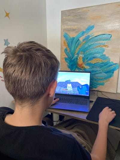 A young person is seated at a desk, focused on a laptop displaying the game Minecraft. A painting with a large blue and gold flower design is visible behind the laptop. A black mousepad sits to the right of the laptop. The young person is wearing a black shirt. The wall behind the person has small star decorations. The location of the city of Trebesin, Montenegro is unknown, therefore, it cannot be determined whether this image comes from Trebesin, Montenegro.