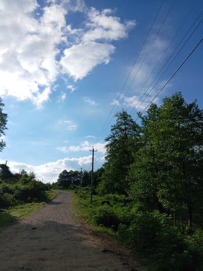 A dirt road winds uphill through a landscape of lush green vegetation and tall trees under a bright blue sky with scattered white clouds. Power lines stretch diagonally across the upper right portion of the image, supported by wooden utility poles visible along the roadside. The scene appears to be a rural or semi-rural area, possibly on the outskirts of a settlement. The overall impression is one of natural beauty and a serene, unpopulated environment.