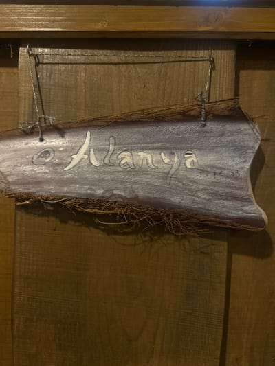 This is a close-up, rotated, eye-level shot of a rustic, handmade sign. The sign is made from what appears to be a piece of palm frond, with the natural fibers and outer bark still visible along the edges. The front surface of the sign has been painted a light, desaturated purple or lavender color and has a somewhat rough, textured finish.
Hand-painted in white, stylized lettering is the word "Alana." Beneath "Alana," there is a small, circular design with concentric rings, painted in black and white. Towards the top of the sign, there is also some fainter, black-ink writing that appears to be a date or initials, possibly "GC H 27.3.39" or similar. The sign is attached to a wooden plank wall by two pieces of thin wire, which are looped around eye hooks screwed into the sign and then twisted around small nails embedded in the wooden wall.
The background is a wooden wall with horizontal planks. The lighting suggests an indoor setting, possibly dimly lit, with a shadow cast from the sign onto the wooden wall. The overall impression is of a decorative or memorial item, possibly created as a personal memento. The presence of the natural fibers and weathered appearance of the sign suggest it might be displayed outdoors or in a rustic setting. The location context provided is Lapės, Lithuania.