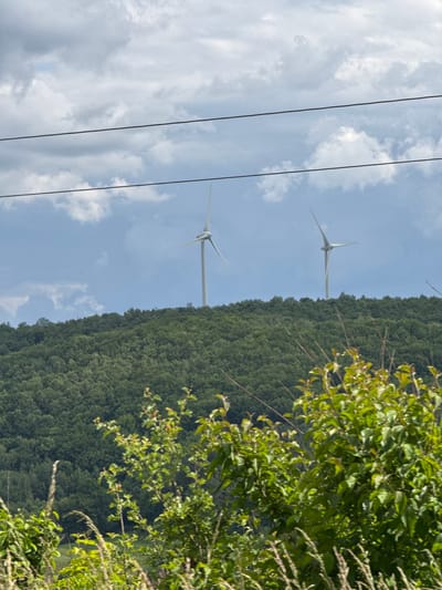 The image shows a landscape with wind turbines situated on a forested hill under a cloudy sky. In the foreground, power lines stretch across the frame, diagonally oriented due to the image's rotation. Two wind turbines are visible in the middle ground, with their tall white structures and large blades contrasting against the green of the trees and the blue and white of the sky. The hill is densely covered with trees, suggesting a rural or natural setting. The presence of lush green foliage in the foreground on the right side of the image indicates it is likely summertime. The sky is partly cloudy, with some areas of bright sky and others filled with diffused light, suggesting it might be midday or late afternoon. There is no visible text in the image. The overall scene depicts a functional landscape with renewable energy infrastructure integrated into a natural environment.