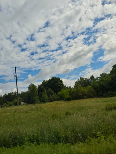 The image captures a rural landscape under a partly cloudy sky. In the foreground, a field of tall green grass dominates the scene, with some lighter-colored stalks of dried grass interspersed. The field slopes gently towards a line of trees in the middle ground, forming a dense green border. To the left of the tree line, a wooden utility pole stands tall, with multiple wires extending horizontally across the upper portion of the image. A small, dilapidated building is visible near the base of the utility pole, partially obscured by the trees. The sky above is a mixture of blue patches and fluffy white clouds. The overall impression is one of a natural, undeveloped area.