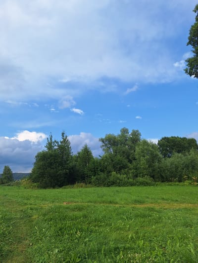 The image depicts a pastoral scene with a lush green meadow in the foreground and a dense line of trees forming the middle ground. The sky above is a vibrant blue, dotted with scattered white clouds, and darker, more voluminous clouds towards the left horizon, suggesting the possibility of rain. The trees vary in height and density, with some appearing more conical and others broader and fuller. The grass in the meadow is long and appears to have been recently mown in some areas, creating a textural contrast. A small patch of dried grass or vegetation is visible in the middle of the meadow. The background shows a gentle slope of hills covered in more vegetation. The overall impression is one of a natural, undeveloped landscape, consistent with the rural outskirts of a location like Atamanovka, Russia. There are no people, animals, or man-made structures visible in the frame, emphasizing the wild, untamed nature of the environment.