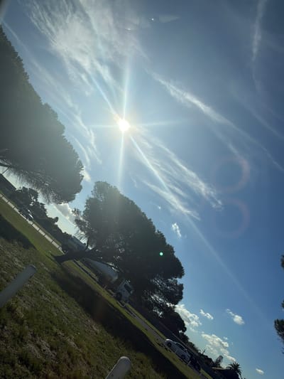 This image captures a bright, sunny outdoor scene, likely during the early morning or late afternoon, in Goodwood, South Africa. The sun is a dominant feature, positioned in the upper left quadrant, emitting strong rays and creating noticeable circular lens flares across the vibrant blue sky. Wispy, streaky white clouds are scattered across the upper sky, adding texture to the otherwise clear conditions.
Several large, dark trees, possibly evergreens or pine-like species, are silhouetted against the bright sky, occupying the lower half of the frame. Below these trees, a paved area, likely a road or parking lot, is visible. Parked or driving in the background are a white car and a large white tanker truck. The lower right foreground shows a strip of lush green grass, bordered by two distinct white posts or bollards.
The scene appears tranquil with no specific human activity taking place. The strong sunlight and clear weather suggest a pleasant day. No discernible text is clearly legible on any objects within the image.