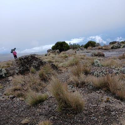 The image captures a rocky, high-altitude landscape at Gilman's Point, Tanzania, under an overcast sky. The foreground and mid-ground feature a terrain composed of loose grey and brown gravel and small stones, interspersed with larger dark rock outcrops. Sparse vegetation includes tufts of dry, light-brown grass-like plants and scattered low-lying shrubs with silvery-green foliage. In the left mid-ground, two individuals are present, facing away from the camera and oriented towards the right. The prominent individual wears dark clothing and a bright pink backpack, carrying a dark pole horizontally over their left shoulder. Behind and slightly to their left, a second individual is partially visible, also in dark attire, carrying a dark backpack and a similar horizontally held pole. The sky is predominantly obscured by thick white and grey clouds, with a segment of clearer blue sky and lower white clouds visible along the distant right horizon. Several dark green bushy plants are visible on higher ground further into the scene.