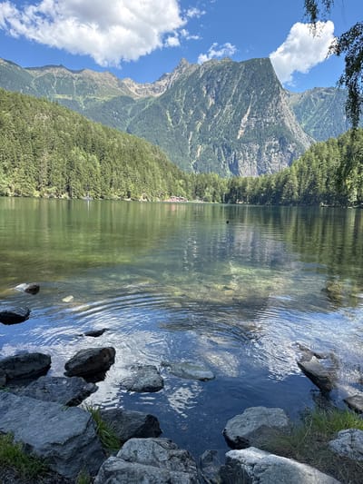 The image captures a serene, sunlit view of a clear, shallow lake bordered by a dense, green pine forest. In the background, majestic, rugged mountains rise, their slopes covered in trees and rocky outcrops. The sky above is a vibrant blue, punctuated by fluffy white clouds. The water in the foreground is so transparent that the rocky lakebed and submerged stones are clearly visible. Gentle ripples disturb the surface of the water, reflecting the sky and surrounding trees. Along the shore, large grey rocks are scattered amongst patches of green grass. In the distance, across the lake, structures are visible, suggesting a settlement or tourist facilities nestled within the trees. There is no sign of human activity in the immediate foreground.