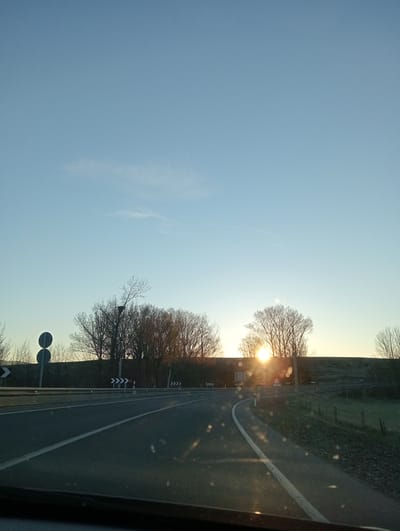 The image depicts an exterior view from inside a vehicle, capturing a two-lane asphalt road at La Torre, Spain, during either sunrise or sunset. The sky is clear and light blue, with minimal high-altitude cloud cover. The sun is positioned low on the right horizon, partially obscured by bare deciduous trees, and generates prominent lens flare artifacts across the vehicle's windshield.

The dark asphalt road features a solid white line on its left edge and a dashed white lane divider, leading into a gradual right-hand curve. The vehicle's dark dashboard is visible in the lower foreground.

To the left of the road, a silver metal guardrail runs parallel to the asphalt. Behind the guardrail, a dark earthen embankment supports a row of bare deciduous trees. Two dark, circular road signs are mounted vertically on a pole on the far left. A large, dark nest, consistent with a stork's nest, is visible in the upper branches of a prominent bare tree situated on the left side of the embankment.

Along both sides of the road beyond the immediate foreground, multiple black and white chevron signs (represented as `>>>>>` symbols) are affixed to poles, indicating a road curve. Red and white reflective markers delineate the right edge of the curve. The terrain immediately to the right of the road beyond the curve consists of a low, vegetated area with visible fence posts. No individuals or specific interactions are discernible.