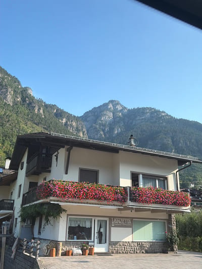The image captures a building with a balcony overflowing with vibrant pink and red flowers. The building appears to be a business, with signage that reads "VANZETTA TENDAGGI TAPPEZZERIA," suggesting it is a curtain and upholstery shop. The architecture features a pitched roof with dark wooden beams and a white facade. Stone cladding is visible on the lower portion of the building, beneath the shop windows. In the background, a majestic mountain range rises, covered in dense green trees, with a clear blue sky above. The foreground shows a paved area with some potted plants and wooden elements. The overall scene suggests a picturesque setting in a mountainous region, likely a town in Italy given the signage.