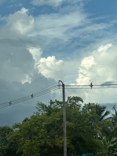 The image shows a cloudy sky above a row of trees and utility lines with a wooden pole. The scene is set in Wang Phai, Thailand. The sky is a mixture of blue and white, with large, fluffy clouds dominating the upper portion of the frame. The trees are lush and green, with some palm trees interspersed among them. The utility lines are strung across the image, supported by a wooden pole in the center. The overall impression is one of a tropical landscape on a cloudy day.