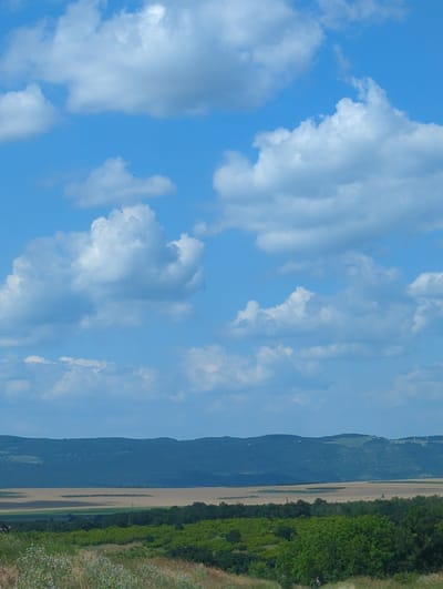 The image depicts a wide, scenic landscape under a bright blue sky dotted with white, fluffy clouds. In the foreground, dry grasses and other vegetation are visible, with a patch of green foliage and trees further back. Beyond the greenery, a wide expanse of fields in varying shades of tan and green stretches towards a range of dark, rolling hills that form the horizon. The hills are covered in dense vegetation, with hints of lighter green patches on their slopes, possibly indicating cultivation or different types of plant life. The overall scene is one of a rural, natural environment on a clear day. The location is specified as Hadzhiite, Bulgaria. Two indistinct figures, possibly people, are visible in the far lower right portion of the image within the green foliage.