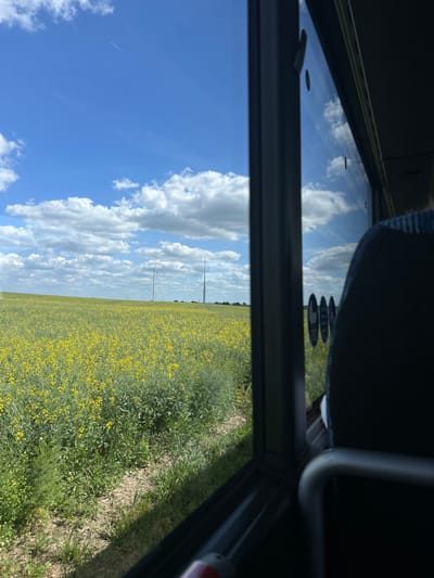 View from a moving vehicle window in Grambow, Germany, showing a field of yellow flowers under a partly cloudy blue sky. Wind turbines are visible in the distance. Vehicle interior elements are visible, including the window frame, seat, and seatbelt.