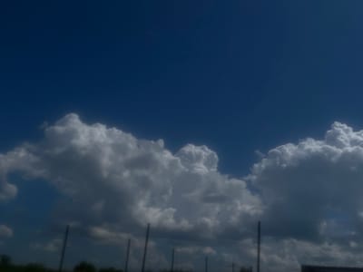 The image depicts a wide shot of a cloudy sky over a rural landscape. The upper portion of the image is dominated by a deep blue sky, contrasting with large, puffy white and grey clouds that fill the lower half. These clouds vary in density and texture, with some appearing bright and sunlit, while others are darker and more shadowed.
In the foreground, partially obscured by the clouds and foliage, are what appear to be vertical poles and a section of chain-link fence, suggesting the presence of a sports field, agricultural land, or an outdoor enclosure. Silhouettes of trees are visible along the horizon line, indicating a natural or semi-natural setting. The lighting suggests it is daytime, likely mid-morning or afternoon, given the bright sky and the way the clouds are illuminated. The overall mood is serene and natural, evoking a sense of open space and weather observation. There is no visible text in the image.