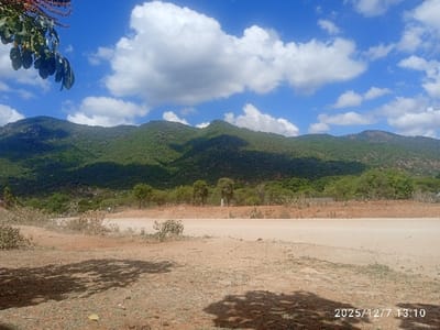 The image displays an outdoor, rural landscape in Namanga, Kenya, captured at 13:10 on December 7, 2025. A range of green, tree-covered mountains occupies the background beneath a blue sky with scattered white cumulus clouds. The mid-ground features a horizontal, unpaved, light brown dirt road showing faint dust. Several small, indistinct human figures are visible on or near this road in the distance. A band of mixed green trees and shrubs separates the road from the mountain range. The foreground consists of dry, reddish-brown earth with sparse, low-lying green and dried vegetation, including small, scattered bushes. Dark, irregular shadows are cast on the ground in the lower-left portion of the frame. A branch with dark green leaves and reddish berries/fruits partially extends into the top-left corner of the image.