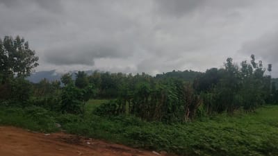 This media file depicts a natural landscape in Gidan Waya, Nigeria. The scene is dominated by lush green vegetation, including trees and tall grasses, suggesting a rural or semi-rural environment. A dirt path runs along the top edge of the image, hinting at a trail or road. In the background, rolling hills or mountains are visible, partially obscured by a cloudy sky. The clouds are a prominent feature, indicating overcast weather, possibly with rain imminent or having recently passed. The overall atmosphere is subdued due to the lack of direct sunlight. There are no visible people or specific objects that indicate a particular activity is taking place. The time of day is difficult to determine precisely due to the overcast conditions, but it appears to be daytime. The image does not contain any visible text.