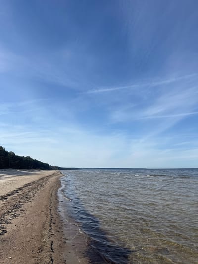 The image depicts a shoreline in Zīvartiņš, Latvia. The sky is blue with scattered wispy clouds. To the right, the water is turbid and stretches to the horizon. A sandy beach runs along the edge of the water, with a line of dark green trees bordering the beach on the land side. There are no people or specific objects visible. The action is the presence of water meeting land, and the interaction is between the natural elements. The environment is a coastal scene with sky, water, sand, and trees.