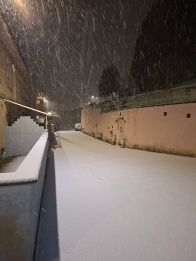 Snow falls heavily on an urban scene at night. A concrete structure, likely a wall, runs along the bottom right of the frame, covered in snow. Adjacent is a set of stairs covered in snow. The background features a dark area suggesting a wooded area or park, along with streetlights and buildings. Snowfall obscures details, creating a grainy and blurred effect.