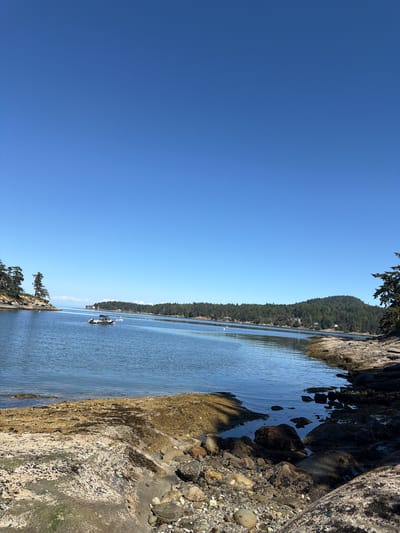 This image depicts a serene coastal scene in the Southern Gulf Islands Electoral Area, Canada. The vast, clear blue sky dominates the upper portion of the frame. Below, a tranquil body of water, likely a bay or inlet, reflects the sky with gentle ripples. On the left side, a rocky shoreline with sparse vegetation and trees leads into the water. Further in the distance, a small boat is anchored, and beyond that, a densely forested island stretches across the horizon. The right side of the image showcases a more rugged, rocky shoreline, with various sizes of rocks and some patches of seaweed exposed by the tide. The overall impression is one of natural beauty and peaceful solitude.