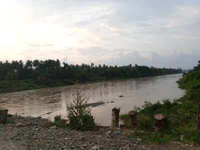 The image captures a serene river scene on a cloudy day in Awegeutahpaya, Indonesia. A wide, muddy river dominates the center of the frame, its surface rippling gently. On the left bank, a dense, green forest of palm trees stretches as far as the eye can see, meeting the river's edge. The foreground on the left is a rough, rocky embankment littered with stones and debris. Several tree stumps, some worn and weathered, are scattered along the riverbank, along with patches of green grass and vegetation.

The right bank of the river is also covered in lush green foliage, with more trees and undergrowth. In the distance, the river curves out of sight, disappearing into the hazy horizon. The sky above is overcast with a mix of white and gray clouds, casting a soft, diffused light over the landscape. The overall atmosphere is peaceful and natural, with no signs of human activity or structures other than the discarded debris on the riverbank.