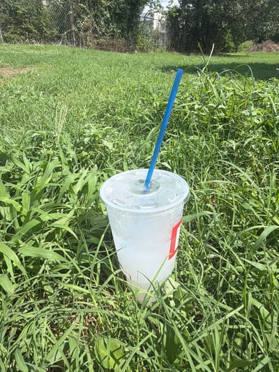 A clear plastic cup filled with ice and a clear liquid, with a blue straw, sits in thick, green grass in a residential backyard. A red and white logo is visible on the side of the cup. In the background, a chain-link fence runs along the edge of the property, with dense green foliage and trees behind it. The sky is visible above the trees, appearing partly cloudy. The scene suggests a warm, sunny day in a suburban or rural setting. The image is taken from a slightly elevated angle, looking down at the cup. No people are present in the frame.