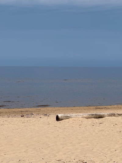 This is a photograph taken at a beach in Kalngale, Latvia. The image captures a serene, wide-angle view of a sandy shore meeting a calm body of water, with a clear, pale blue sky overhead. In the foreground, the sand is a light tan color, with some scattered debris such as small pieces of wood and dried vegetation. A large, weathered piece of driftwood lies horizontally across the sand, positioned slightly to the right of the frame's center. The middle ground is occupied by the water, which appears dark blue and somewhat rippled, with subtle variations in shading suggesting shallow areas or the presence of submerged objects. The horizon line, where the water meets the sky, is sharp and distinct. The sky is a uniform, light blue, with no clouds visible. The overall impression is one of natural tranquility and solitude. There are no people or animals present in the image.