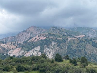 The image shows a panoramic view of a mountainous landscape under a cloudy sky. The foreground is covered in lush green foliage and trees, with some sparsely populated grassy slopes. In the mid-ground and background, rugged mountains rise, characterized by steep, eroded slopes showing layers of rock in shades of pink, beige, and gray. Patches of dark green vegetation, likely shrubs and trees, cling to the mountainsides. Roads or trails are visible winding across some of the slopes. The overall scene depicts a natural, somewhat arid mountain environment with signs of human activity in the form of infrastructure on the slopes. The location is identified as being in the city of Uchterek, Uzbekistan. There are no people, animals, or specific actions captured in the image.