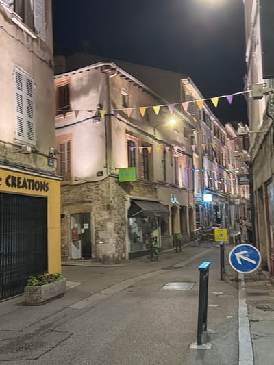 This media file captures a street scene at night in Vienne, France, illuminated by decorative lights and street lamps. The image is oriented vertically, giving a sense of looking down a narrow street lined with old buildings. Small, colorful triangular flags are strung across the street, adding a festive atmosphere.

The buildings themselves show a mix of architectural styles, with some featuring stone facades and others appearing to be stuccoed. Many have multiple stories with windows and balconies. Some storefronts are visible, one with a yellow awning and black shutters, and another that seems to be a boutique with items displayed behind glass. The street surface is asphalt, and a sidewalk is present along one side.

A blue circular road sign with a white downward-pointing arrow is mounted on a pole, indicating a direction. Next to it, a yellow rectangular sign is also visible. A street light with a blue illuminated panel is mounted on a black pole.

The overall impression is that of a charming European street at dusk or night, possibly during a local festival or event given the decorative lighting and flags. There are no people visible in the image. The weather appears clear, as indicated by the dark sky.

Visible text includes "CREATIONS" on the yellow awning of a storefront.