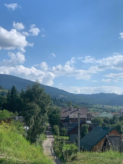 The image displays an elevated view of a residential section within Yasinia, Ukraine, situated in a mountainous, forested environment under a clear blue sky with scattered cumulus clouds. The foreground features an upward slope covered in dense green grass and miscellaneous foliage. A winding, unpaved dirt path descends into the middle ground, bordered by numerous residential structures constructed from wood and other materials, featuring various roof types including red-brown tiles and dark green metal. A large deciduous tree with light bark stands prominently to the left of the path. Two indistinct human figures are visible on the path in the middle distance, casting elongated shadows. Utility poles with overhead lines are interspersed among the buildings. The background consists of successive ranges of mountains heavily covered in dark green coniferous and deciduous trees.
