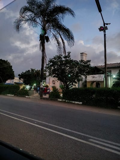 A palm tree rises against a cloudy sky near a traffic light showing red. A two-lane road stretches to the right, and the side of a building with trees and shrubbery runs alongside it. Motorbikes and other objects are visible near the building. The scene is taken during twilight or dusk.