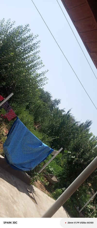 A blue tarp with a white hexagonal pattern is draped over a clothesline in a yard. Several pieces of clothing, including a red patterned fabric, are also hanging on the clothesline to the left of the tarp. A wheelbarrow is visible in the background amongst dense green foliage. The scene is outdoors under a clear blue sky, with a wooden overhang and power lines visible at the top of the frame. The foreground consists of a concrete surface. The location is identified as Дехибаланд, Tajikistan.