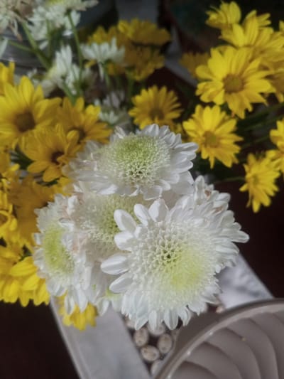 A high-angle shot shows an arrangement of yellow and white chrysanthemums in a vase. The foreground focuses on a cluster of white chrysanthemum flowers with a green center. Behind and around them are many yellow chrysanthemum flowers. The vase appears to have small, smooth stones at its base. Part of the vase's rim is visible in the lower right corner. The background is blurred. The location of Ein Chay Hnit Se, Myanmar, is not discernable from the image. There are no people visible.
