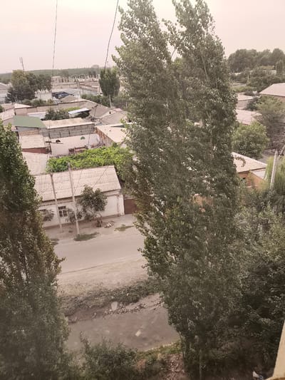 This aerial view captures a residential area in Kokand City, Uzbekistan, likely during daylight hours given the overall brightness. The scene is a mix of houses and vegetation, with a prominent road and a small waterway running through it.
In the foreground, two large trees with dense green foliage frame the view, obscuring parts of the houses and road below. The houses are varied in style, many with corrugated metal or tiled roofs, and some featuring white walls and rectangular windows. One house, in particular, is clearly visible with a light-colored roof, white walls, and two windows. Power lines crisscross the scene, supported by utility poles.
Beyond the immediate residential structures, more buildings and trees stretch into the distance. A telecommunications tower is visible in the upper left quadrant, suggesting a developed area. The overall impression is of a somewhat overgrown urban environment, with nature reclaiming parts of the built landscape. The waterway appears to be a natural or possibly a drainage channel, with muddy banks and some debris visible. The sky is hazy, indicating possibly dusty or overcast weather conditions, which gives the image a muted, diffused light. No people are clearly discernible in the image, and no specific activity is evident beyond the static nature of the residential setting. There is no visible text.