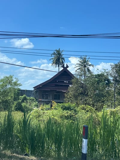 The image shows a weathered wooden house with a steeply pitched roof, surrounded by lush green vegetation and palm trees. The sky is a bright blue with scattered white clouds, suggesting a sunny day. Several black power lines are visible in the foreground, stretching across the frame. To the right, a striped marker post stands tall amidst the tall grass. The house appears old and somewhat neglected, with visible signs of wear and tear on its wooden exterior. The overall impression is one of a rural, tropical setting. There is no discernible activity or event taking place. The time of day appears to be daytime. No text is visible in the image.