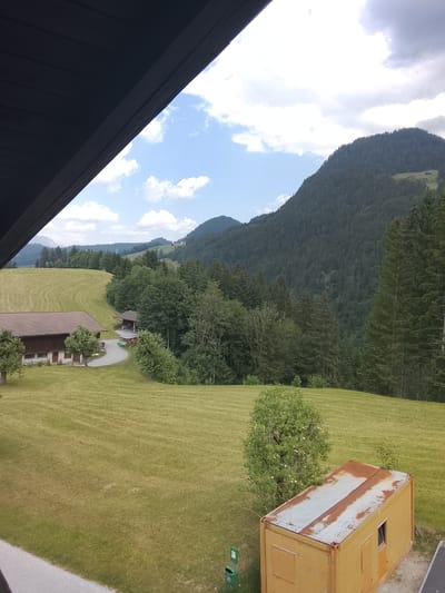 The image depicts a mountainous landscape in Hygna, Austria. A building with a brown roof is visible in the mid-ground, surrounded by a grassy field that slopes upwards. Beyond the field, a dense forest covers the hillside, transitioning to a mountain in the background. A cloudy sky is above. In the foreground, there is a yellow container with a partially rusted roof and a green trash can nearby. Part of a building roof is visible at the top left corner of the image.