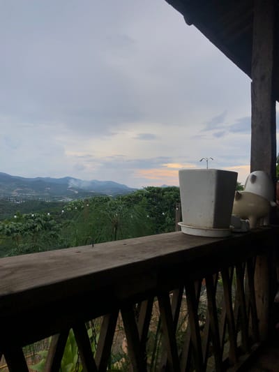 The image depicts a balcony overlooking a lush, green valley with rolling hills and mountains in the distance. The sky is overcast with hints of pink and orange from a setting or rising sun. On the balcony, a white planter holds a small seedling. To the right of the planter are two decorative ceramic objects, one shaped like a pig and the other a generic, rounded figure. The balcony railing is made of dark wood with a lattice design. The overall atmosphere is serene and natural, suggesting a tranquil retreat possibly located in the outskirts of Thôn 4, Vietnam, given the landscape.