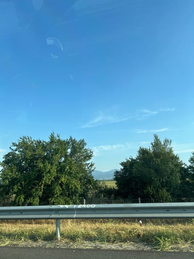 The image depicts a roadside scene under a clear blue sky with a few wispy clouds. The dominant subjects are trees, a metal guardrail, and the sky. On the right side of the image, a grey metal guardrail runs horizontally, separating the road from a grassy embankment. The embankment is dry and yellowish, with some patches of green grass.
In the background, lush green trees are visible, with one particularly large tree in the foreground on the right side of the image. Beyond the trees, a faint outline of mountains can be seen in the distance, suggesting a rural or semi-rural location. The reflection of what appears to be the interior of a vehicle is visible on the left side of the image, indicating that the photo was likely taken from inside a car.
The time of day appears to be daytime, with bright sunlight casting shadows and illuminating the scene. The weather is fair and clear.
There is visible text on the guardrail: "2400" is clearly written in white, and below it, "11" is also visible in white. These markings might be mile markers or other road signage.
The overall mood of the image is tranquil and serene, capturing a moment of travel through a scenic landscape. The focus is on the natural elements and the infrastructure of the roadside.