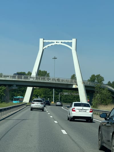 The image captures a bright, sunny daytime scene on a multi-lane highway in the Saint Petersburg region of Russia, specifically around Lisy Nos. The perspective is from inside a vehicle, looking forward.

The most prominent feature is a large, white arch bridge spanning over the highway. The bridge appears to be a concrete or steel structure, possibly a pedestrian overpass or part of a larger interchange, featuring a flat deck with railings on top. Lush green trees and foliage line both sides of the highway and extend beneath the bridge.

On the highway, several cars are visible. In the foreground, part of a dark-colored vehicle (from which the photo is taken) is seen on the right, including a rearview mirror. Directly ahead, in the middle lane, is a white hatchback or small SUV. Its rear license plate clearly displays "X238XH 178" with "RUS" below the region code, confirming the Russian origin and the 178 region code for Saint Petersburg. Further down the road, another white car and other vehicles are visible. A blue bus can also be seen on the right side of the road, potentially on an exit ramp or shoulder, passing under the bridge.

The sky is a clear, bright blue, indicating fair weather. Road markings, including solid and dashed white lines, are visible on the asphalt. The scene depicts typical highway traffic flow on a clear day.
